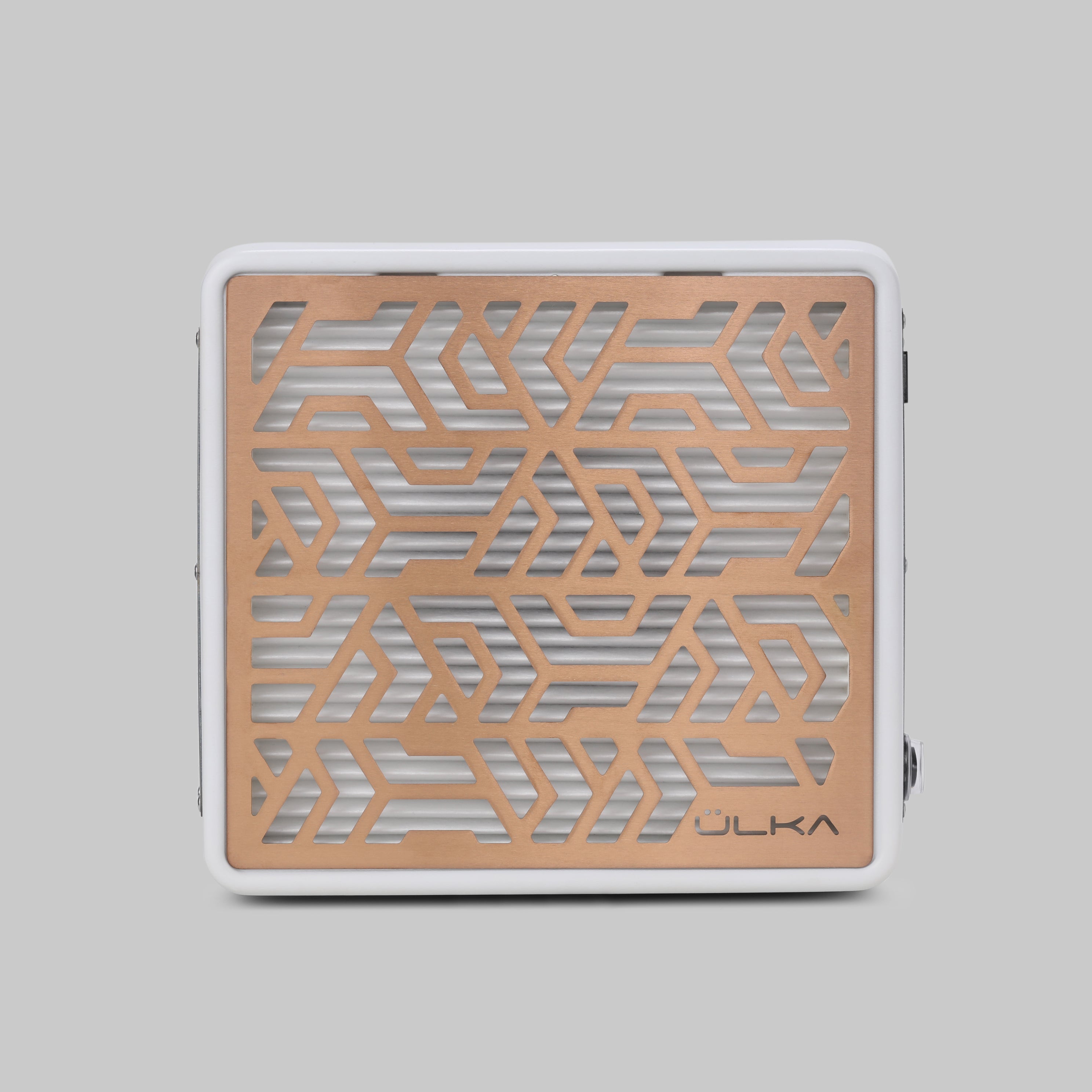 ULKA Collecteur de poussière pour manucure PREMIUM Blanc avec grille rose doré
