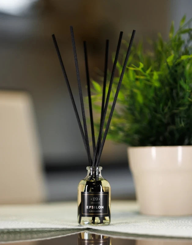 AROMATIC 89 Diffuseur à roseaux Epsilon, 50 ml (Douceur orientale)