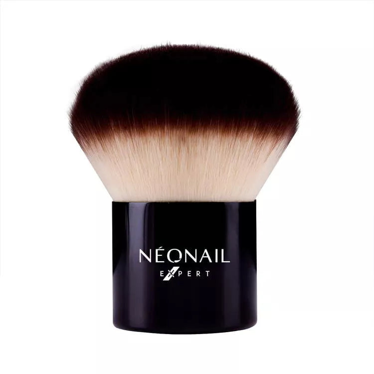 6948 Brosse à poussière NN Expert