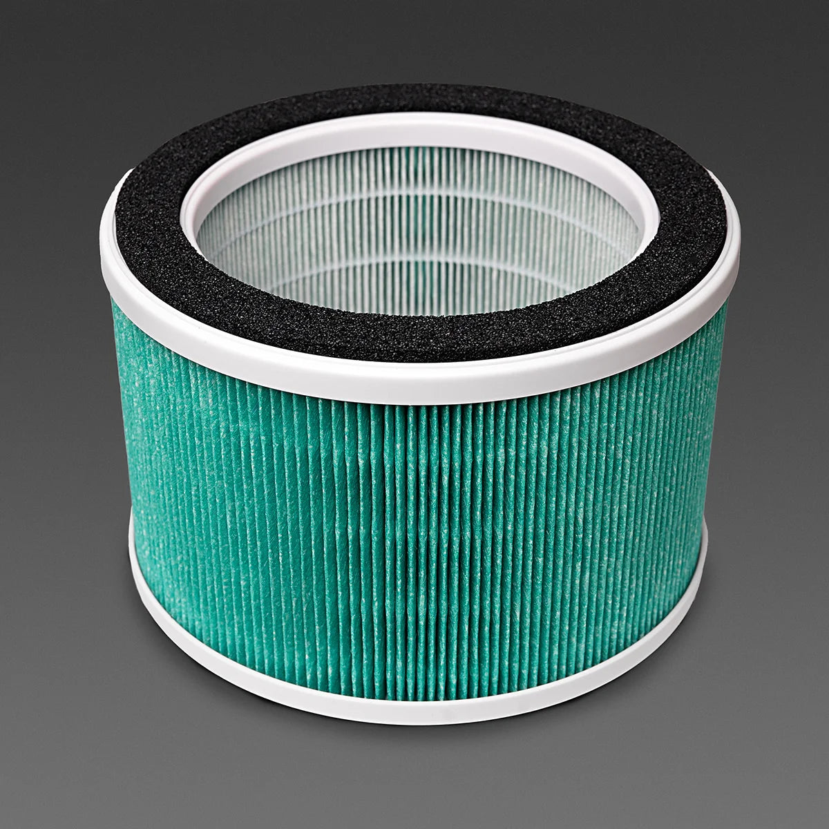 Filtre pour aspirateur 4BLANC Maestro