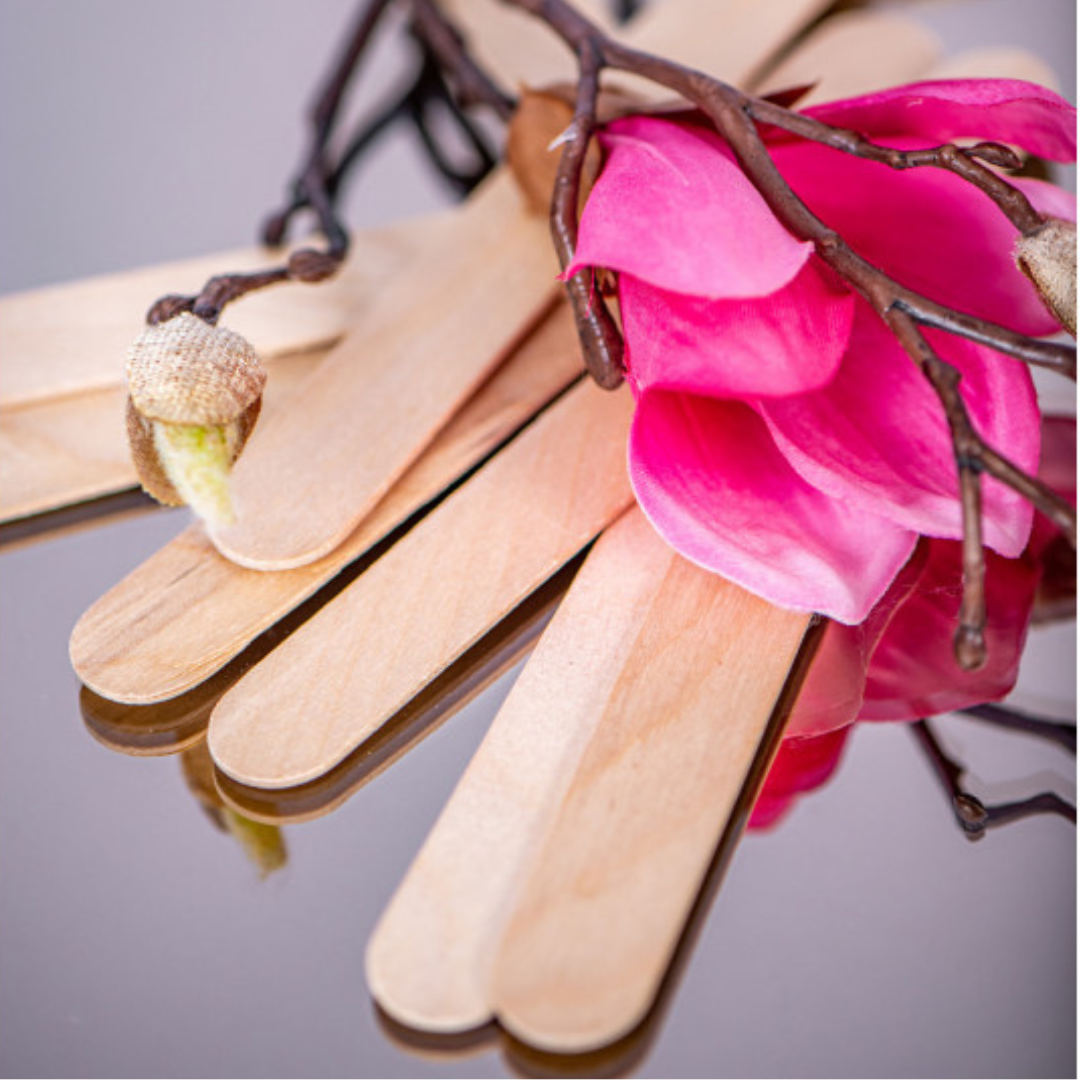PW Spatules en bois, 100 pièces, MINI 9,4 cm x 1 cm