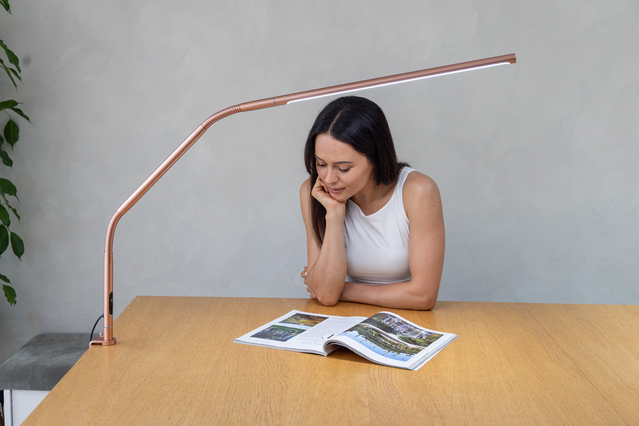 Daylight LED table lamp with bracket [Slimline 4 Rose Gold]