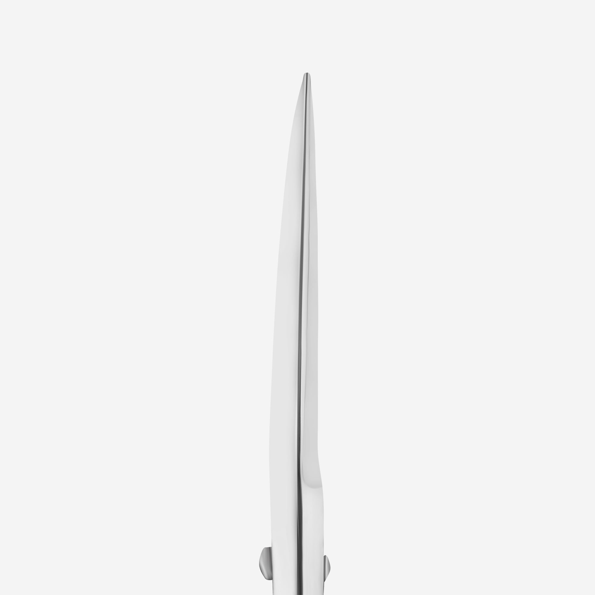 STALEKS Professional eyebrow scissors EXPERT 30 [SE-30/1]