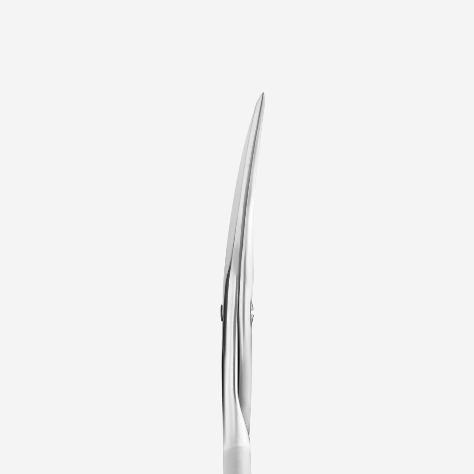 STALEKS Nail scissors BEAUTY and CARE [SBC-10/2]
